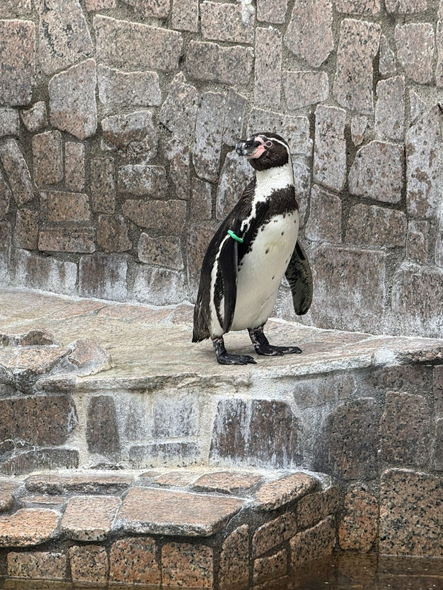 東京景點｜江戶川區自然動物園