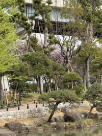 東京景點｜隅田公園 