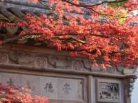 Tuisi Garden– The Garden of Reflection