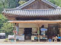 🌿 구례 천은사, 지리산 품에 안긴 고요한 쉼터