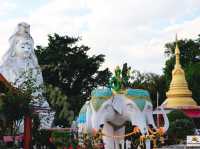วัดกกไม้แดง