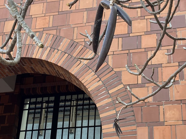 嘉義縣表演藝術中心 Chiayi Performing Arts Center