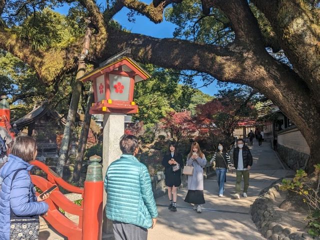 【福岡】太宰府天満宮を散策
