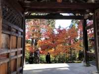 【二尊院の紅葉｜嵯峨野に広がるもみじのトンネル】