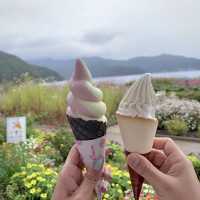 Kawaguchiko one day trip