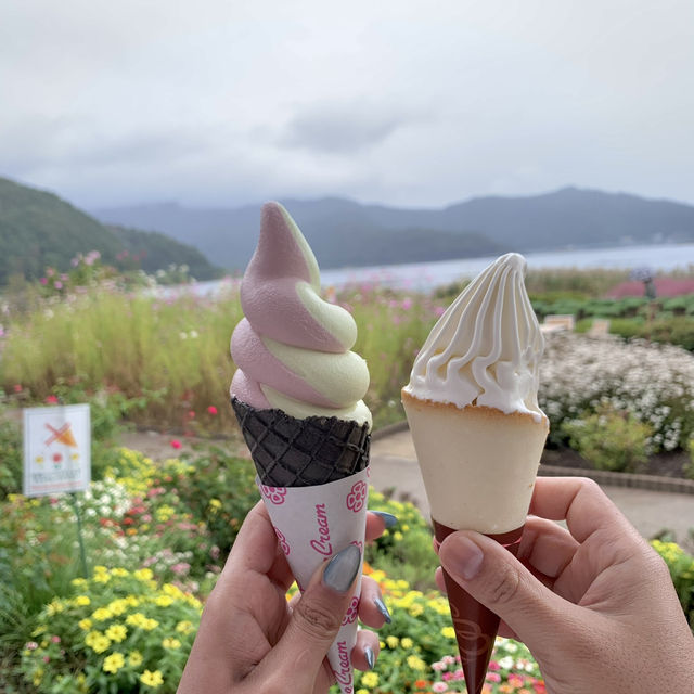 Kawaguchiko one day trip