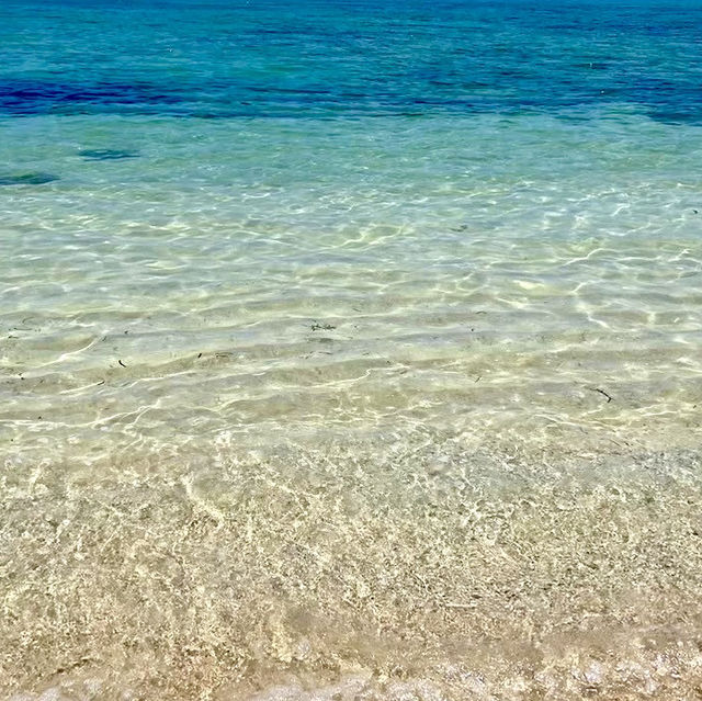 【石垣島】夏の石垣島最高すぎる✨