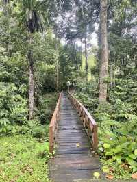 🌿 Tawau Hills Park: Waterfalls, Wild Hikes & a Monkey Surprise! �