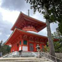 【高野山金剛峯寺】　世界遺産🌎
