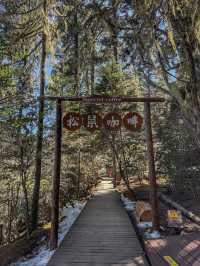 A Peaceful Escape into Nature: Discovering the Beauty of Potatso National Park (普达措国家公园)