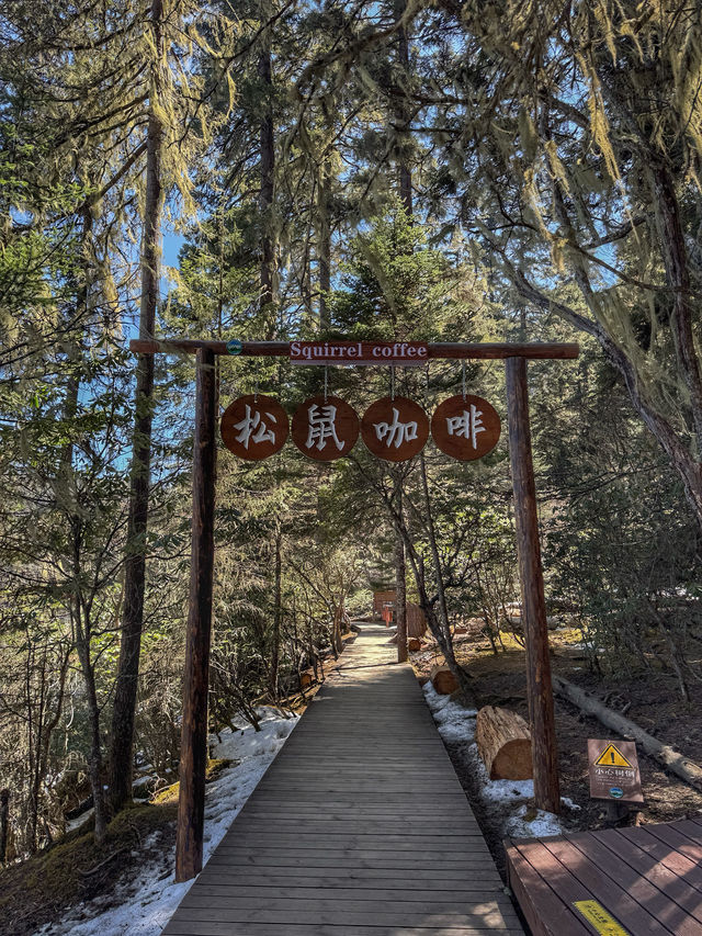 A Peaceful Escape into Nature: Discovering the Beauty of Potatso National Park (普达措国家公园)