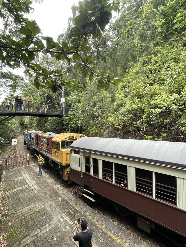 【オーストラリア】ケアンズ行ったら乗るしかない！絶景の中を走るキュランダ高原列車