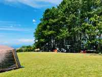 Under the Pines at Sudrigde Resort Davao