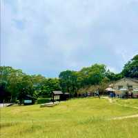 Touching the Clouds: Hiking Tai Mo Shan, Hong Kong’s Highest Peak 