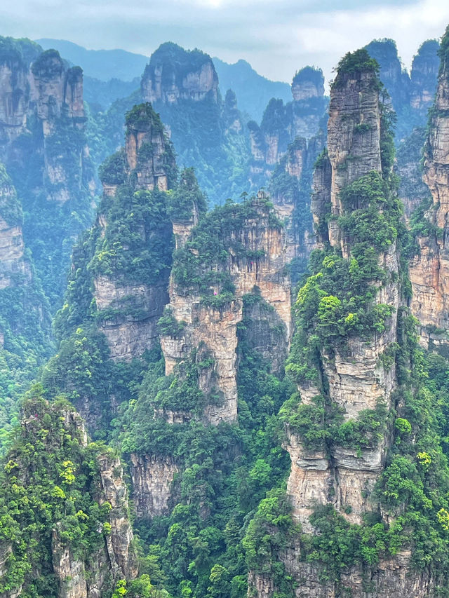 Avatar Mountains
