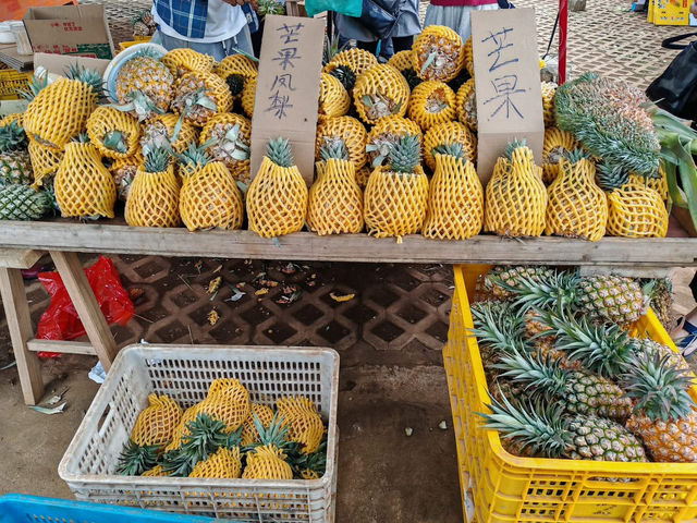 湛江南極村