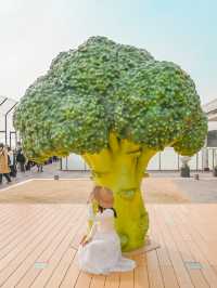 【兵庫】ブロッコリーの木の下で🥦💚
