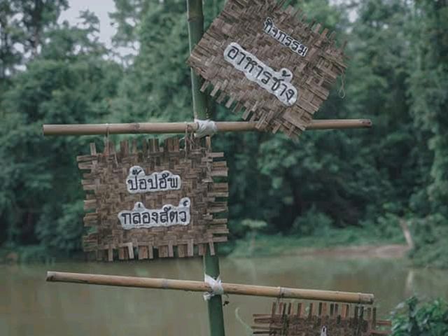 พาเที่ยวชมบรรยากาศเที่ยวคาเฟ่ช้าง 📢