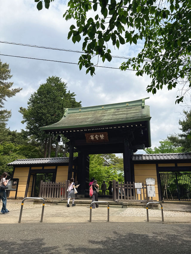 東京六日遊5/4第五天豪德寺喵喵廟