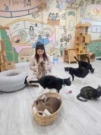 Catster คาเฟ่แมวจร ถูกใจตัวไหน รับกลับได้!!