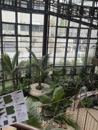 100円で楽しめる！🤩都会の中の植物園！🌱　渋谷区ふれあい植物センター