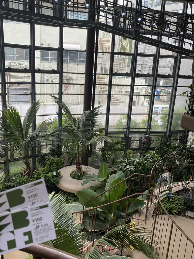 100円で楽しめる！🤩都会の中の植物園！🌱　渋谷区ふれあい植物センター