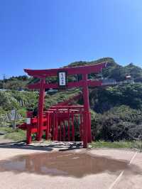 【123基の真っ赤な鳥居】元乃隅神社⛩️