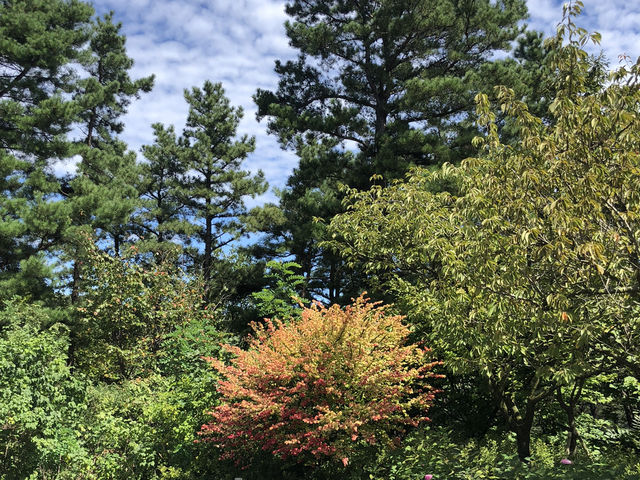 자연 속에서 쉬고, 예술을 걷고, 맛으로 마무리하는 하루 🌳