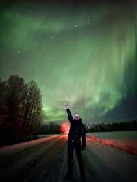 The Ultimate Arctic Wonderland