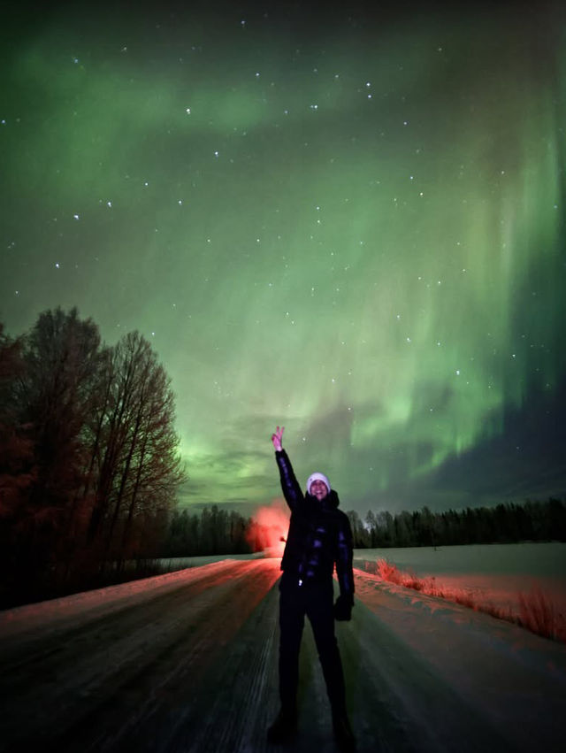 The Ultimate Arctic Wonderland