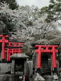 Fushimi Inari Taisha, Kyoto, Japan 🇯🇵 