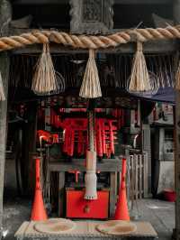 Fushimi Inari Taisha, Kyoto, Japan 🇯🇵 