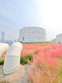 Binjiang Forest Park – Phase II: A Tranquil Escape in Shanghai’s North