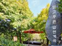 Retreat at Jangnyeongsan Natural Recreation Forest