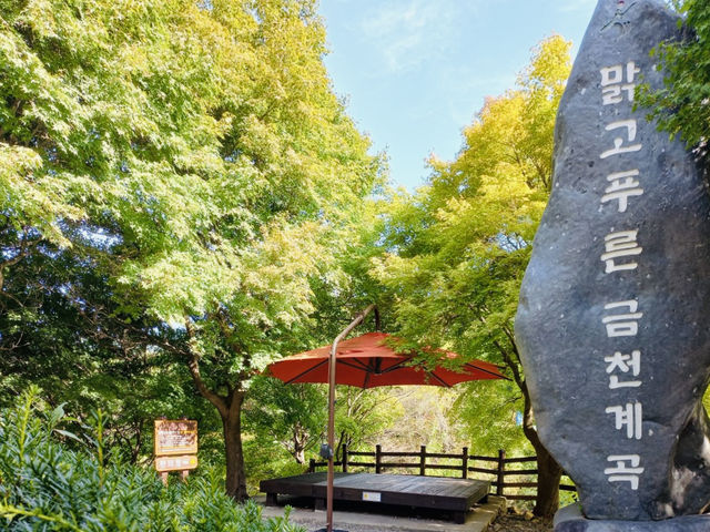 Retreat at Jangnyeongsan Natural Recreation Forest