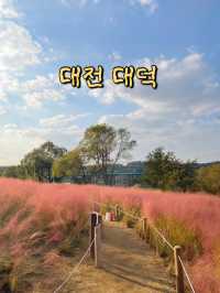 대전 대덕구에서 즐기는 1일 나들이 🧸🍀🌸