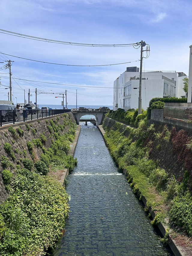 坐火車到了傳說中的湘南海岸