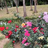 Shenzhen’s Hidden Gem: 人民公园 (People’s Park)