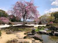 Temple with a Peaceful Vibe