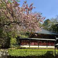 絶対に行って欲しい仙台3日間の旅行体験！