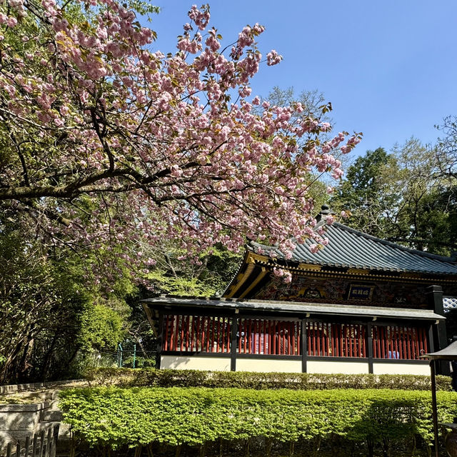 絶対に行って欲しい仙台3日間の旅行体験！