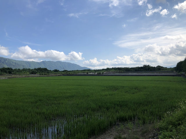 雲山水夢幻湖｜花蓮壽豐的歐風秘境，落羽松與湖光山色交織的夢幻景致