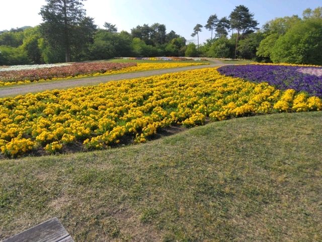 美しい景色