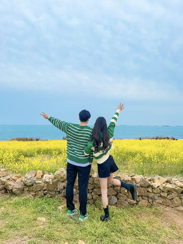 바다와 노란 물결을 한 눈에 담을 수 있는 명소