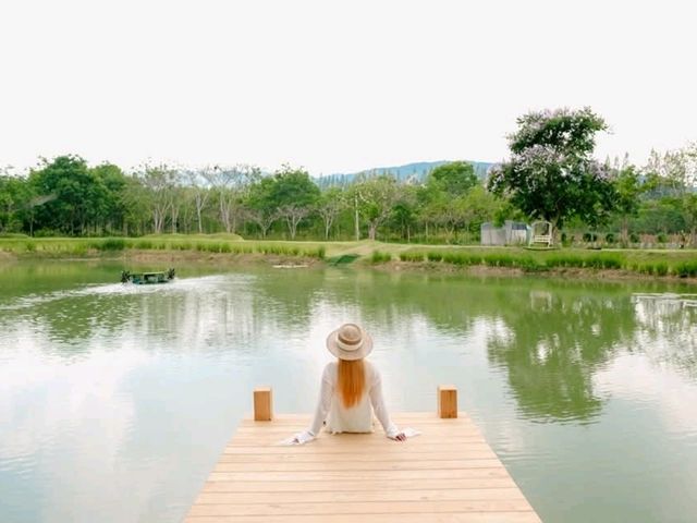 Trio Farm cafe