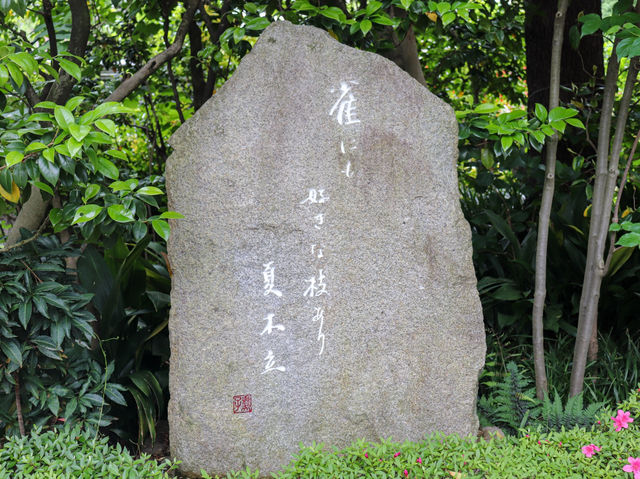 【東京都】 都会の喧騒忘れて佇む静かな古社寺『玄国寺』