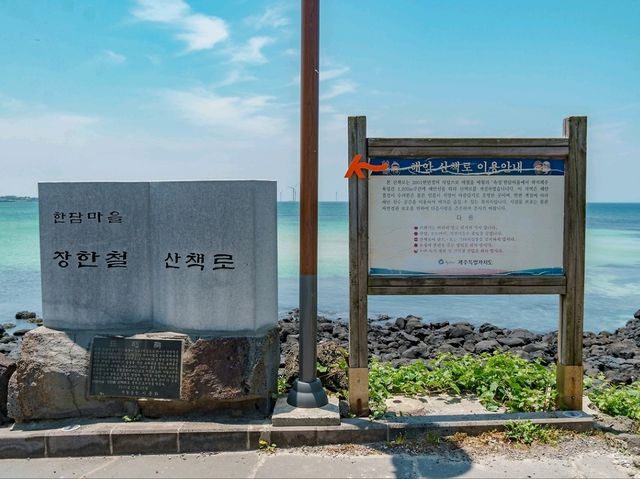 애월 청아투명카약