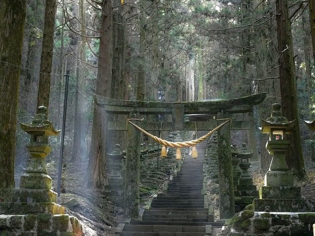 Aso – Life in the Shadow of a Sleeping Giant