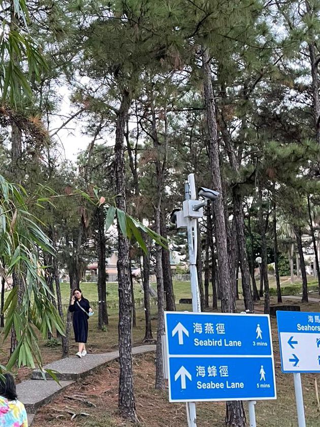 香港離島 | 愉景灣一日遊