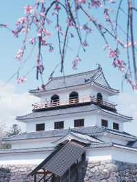 從大阪到仙台賞櫻最快交通：日本國內線飛機攻略